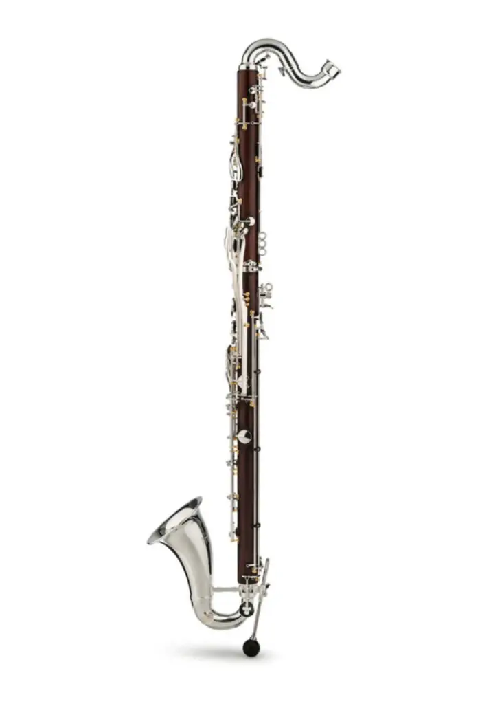 Backun Q bass Cocobolo 2.webp