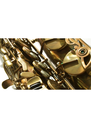 P. Mauriat 67RX Alto Saxophone Unlacquered