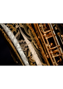 P. Mauriat Master 97 Alto Saxophone Gold Lacquer