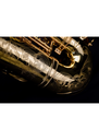 P. Mauriat Master 97 Alto Saxophone Gold Lacquer