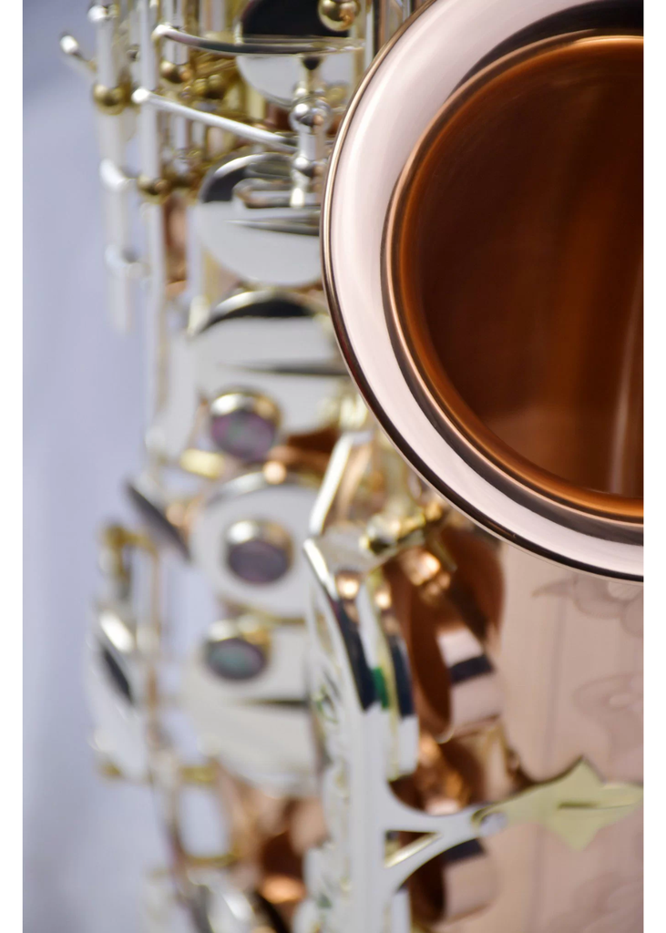 P. Mauriat 600 Venus Alto Saxophone