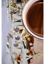 P. Mauriat 600 Venus Alto Saxophone