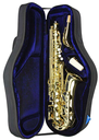 Reunion Blues RBX Alto Sax Case 