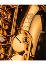 Selmer Paris Signature Alto Saxophone 