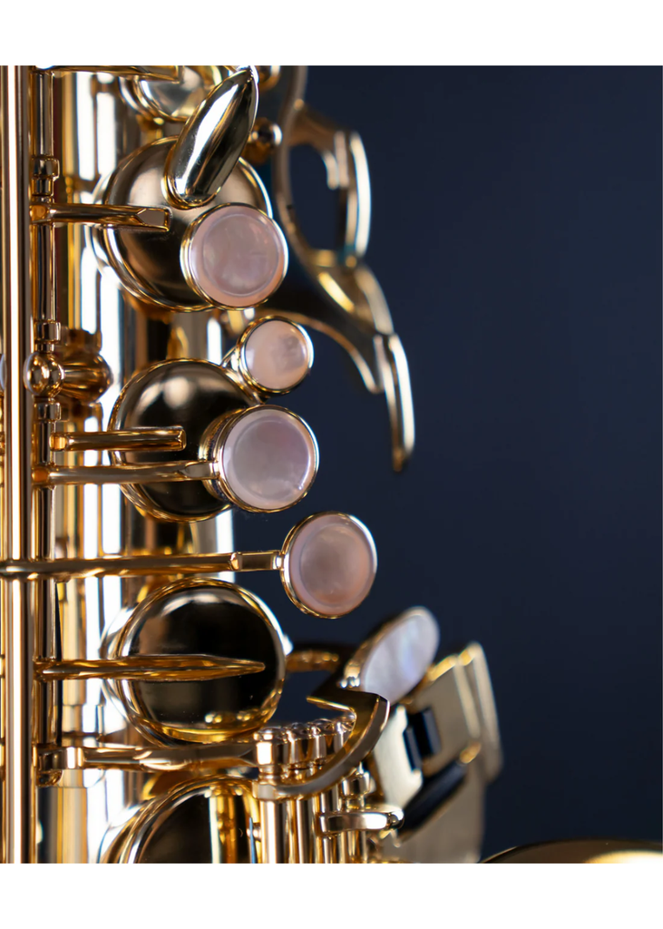 Selmer Paris SA80 II Alto Saxophone 