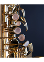 Selmer Paris SA80 II Alto Saxophone 