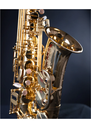 Selmer Paris SA80 II Alto Saxophone 