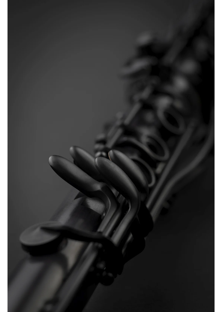 Selmer Paris Black Privilege Bb Clarinet