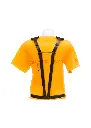 Van Harness 1.webp