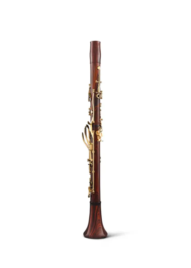 Lumiere Coco 6.webp