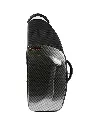 New Trek Alto 2.webp