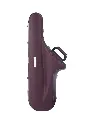 L'Etoile Tenor 6.webp