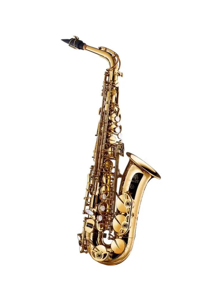 RX Alto GL (1).webp