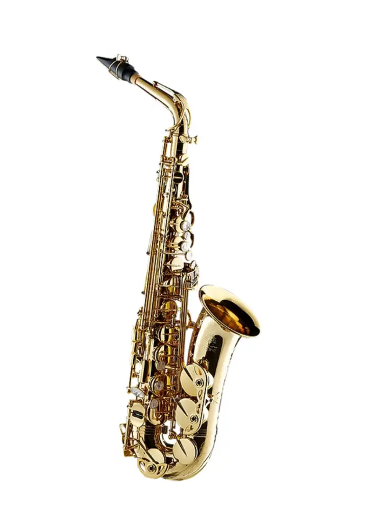 SX Alto GL.webp