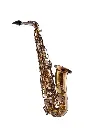 GX Alto COG Vint.webp
