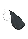 Hodge Trump 2.webp