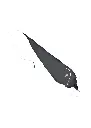 Hodge Oboe 2.webp