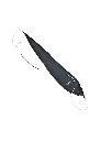 Hodge Bocal 2.webp