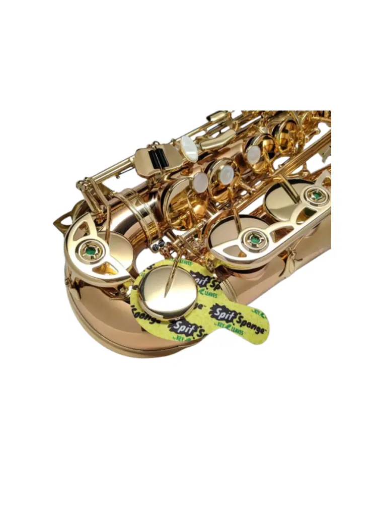 Spit Sax 2.webp