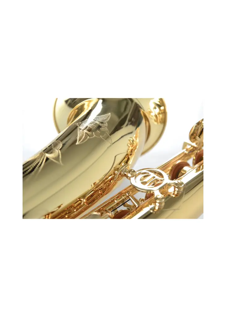 Temby Pro Tenor 1.webp