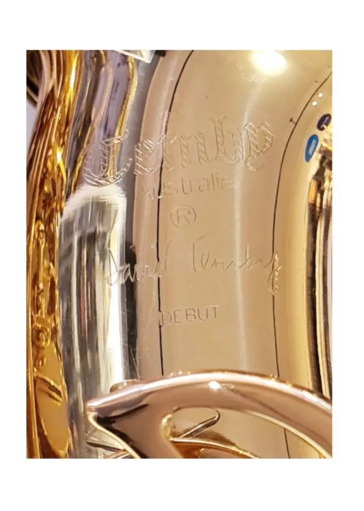Temby Ex-Rental Debut Alto 1.webp