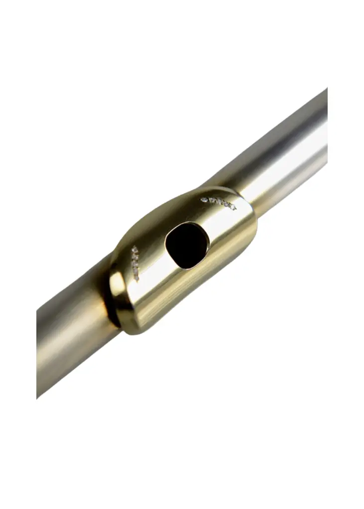 Temby Headjoint 1.webp