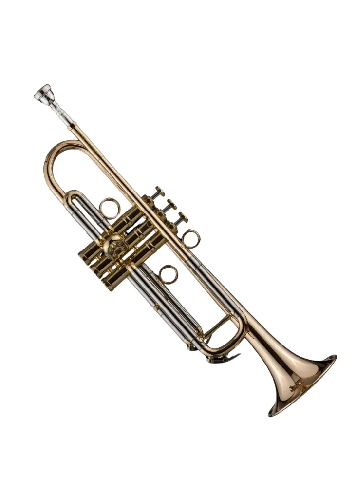 JM1 1.webp