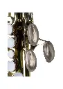 A351 1.webp