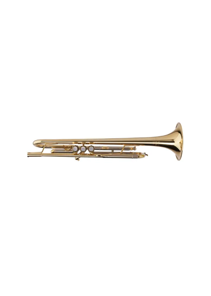 Adams Sonic GL 3.webp