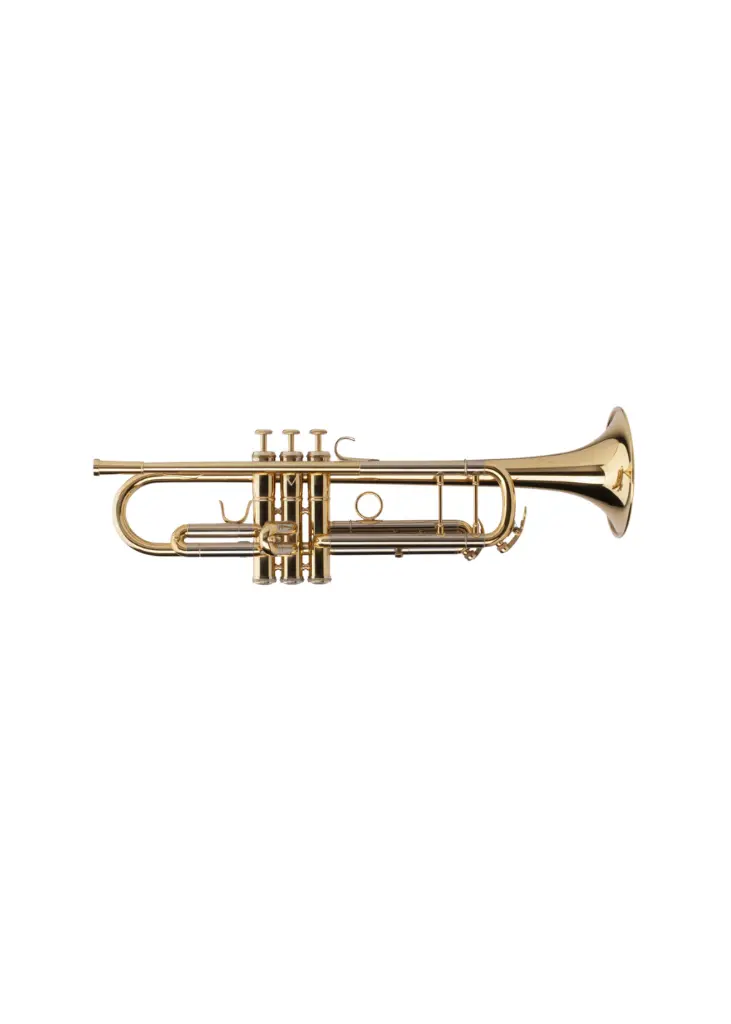 Adams Sonic GL 2.webp