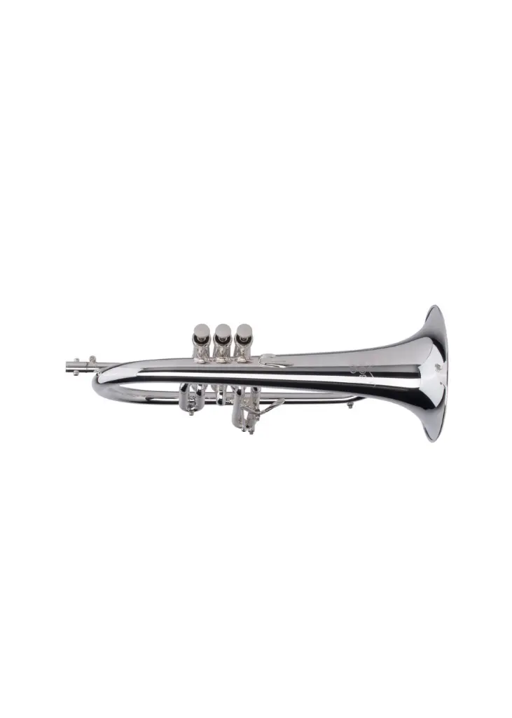 Adams Sonic FL Silver 2.webp
