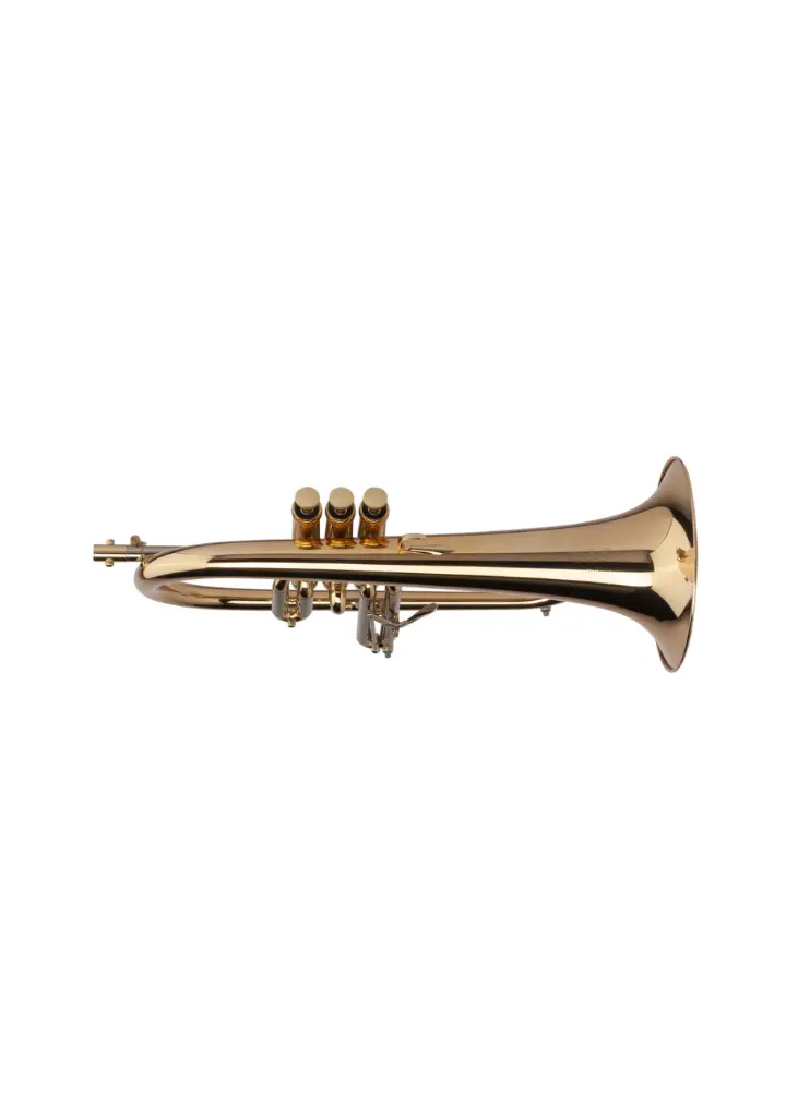 Adams Sonic FL GL 2.webp