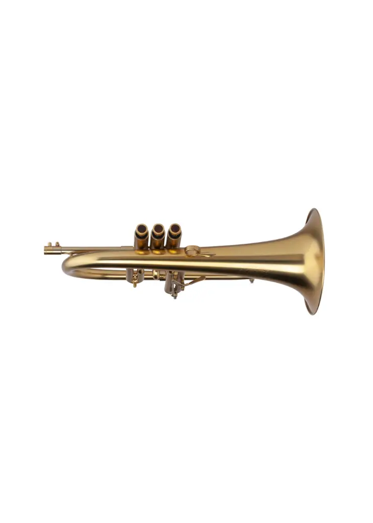 Adams F3 GL 2.webp