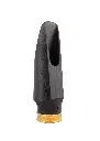 Theo Essential Jazz Alto 2.webp