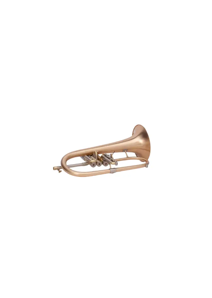 Adams F2 3.webp