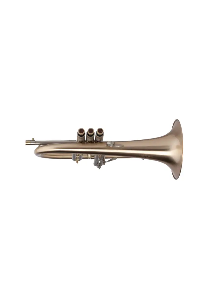 Adams F2 2.webp