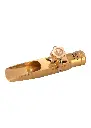 Theo Shiva Gold Tenor 2.webp