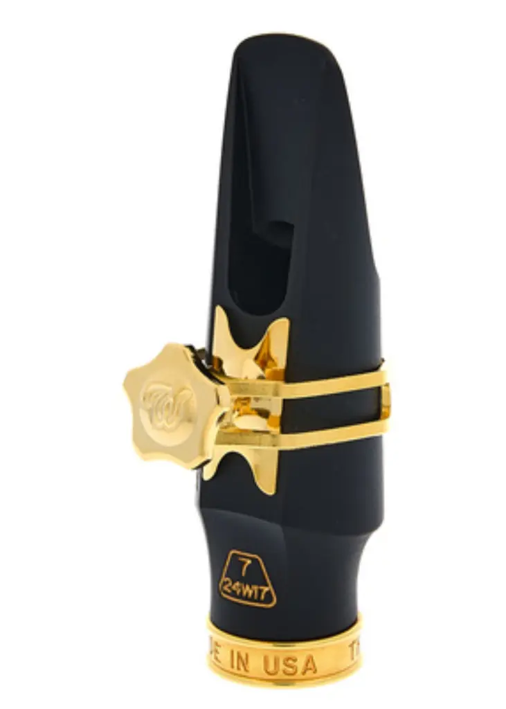 Theo Shiva HR Alto 2.webp