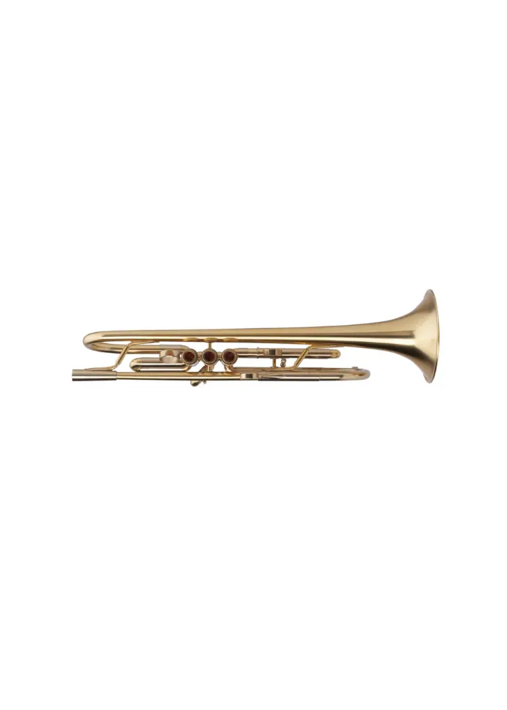 Adams A4LT 3.webp