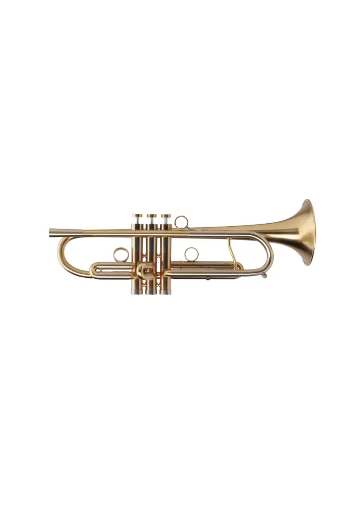 Adams A4LT 2.webp