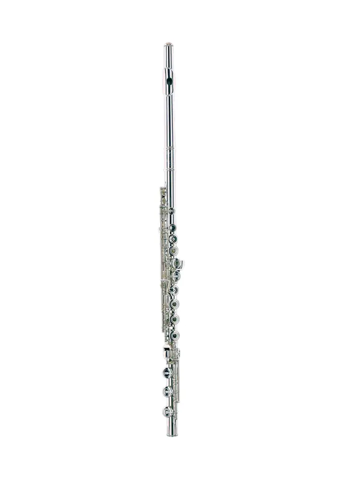 Temby Artist .925 Flute. Open Hole, Eb Roller, C# Trill Key, B Foot, Heavy Wall