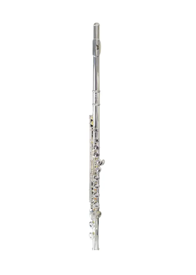 Temby Debut Flute