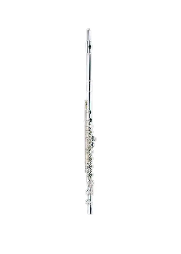 Temby Elite .925 Open Hole C Foot Flute