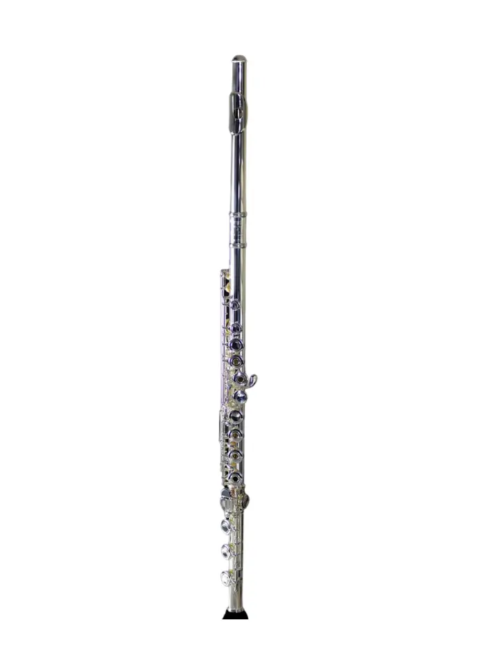 Temby Prestige B Foot Flute with .925 silver head joint - Open Hole