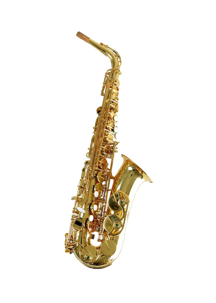 Temby Professional Alto Saxophone.
