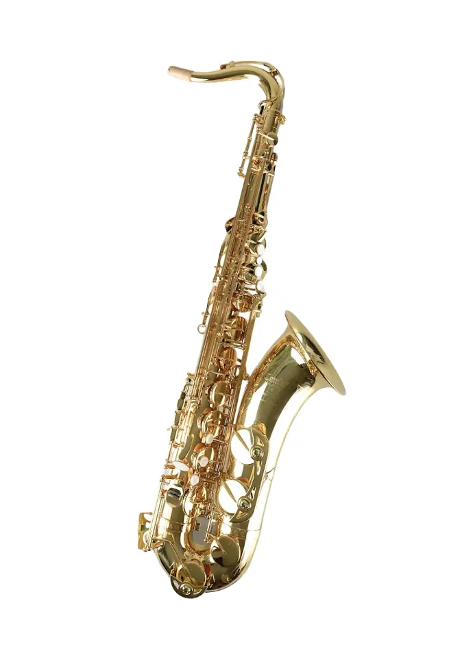 Temby Professional Tenor Saxophone