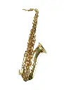 Temby Professional Tenor Saxophone