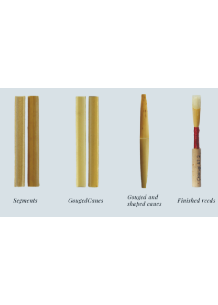 Gonzalez Oboe Double Reed Making Cane