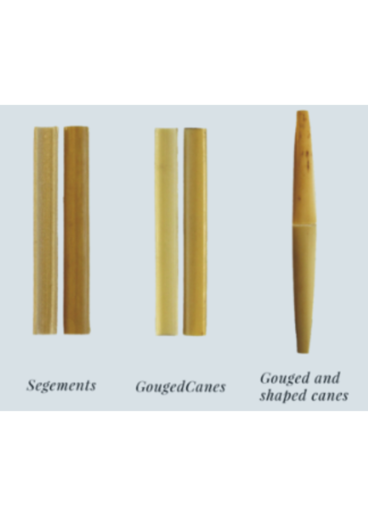 Gonzalez English Horn Double Reed Making Cane