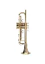 Adams A10 Yellow Brass Bb Trumpet  Gold Lacquer